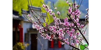 阳春三月，意昂体育一大波展会即将来袭，您准备好了吗？