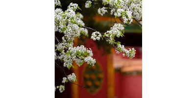 【展会资讯】意昂体育5月展会一览，等您来参观！